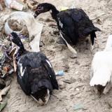 The Cost of What We Became