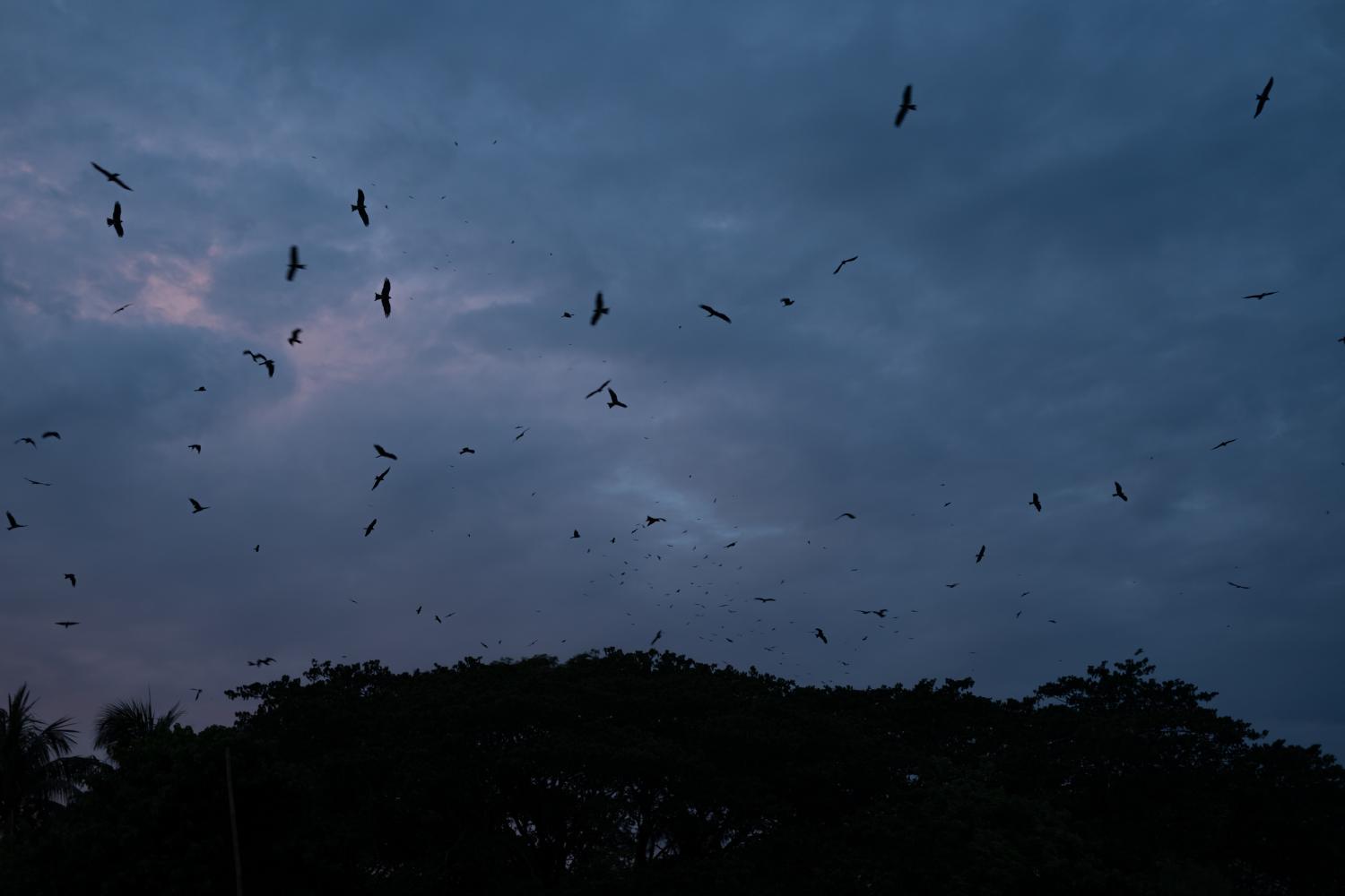 Bangladesh | Memories of Disappearance | Mosfiqur Rahman Johan ...