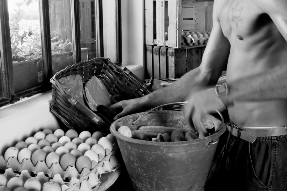 With Their Hands in the Earth