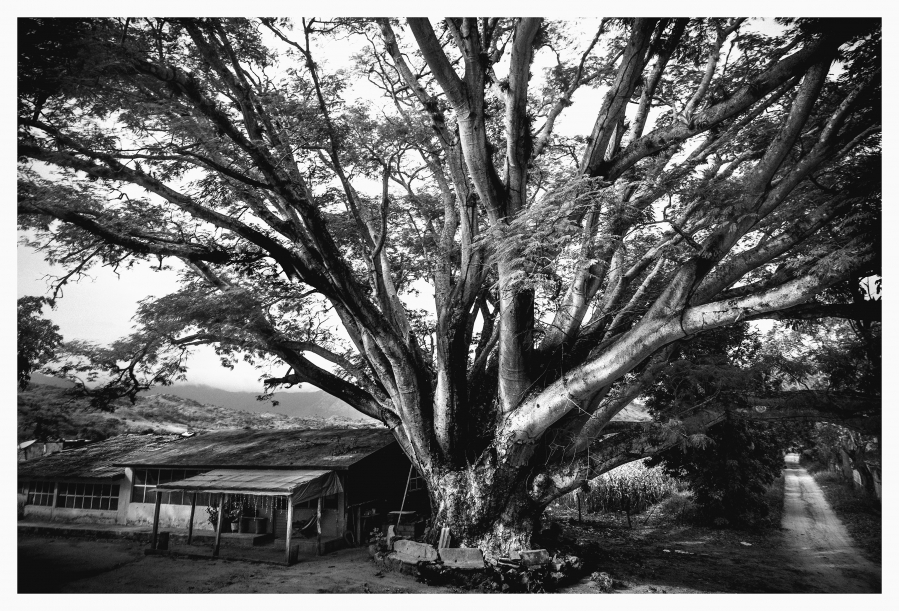 The Distance Between Mountains and Memory