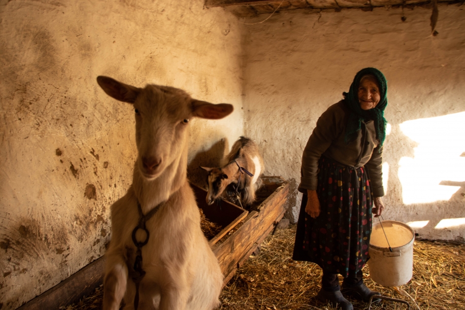 Grandma From The Corner