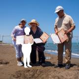 The Unseen, a systemic violence without spectacle.