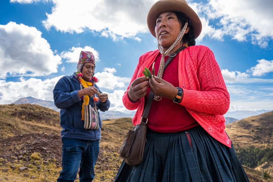 The Condor & The Bull