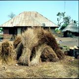 All along the African road