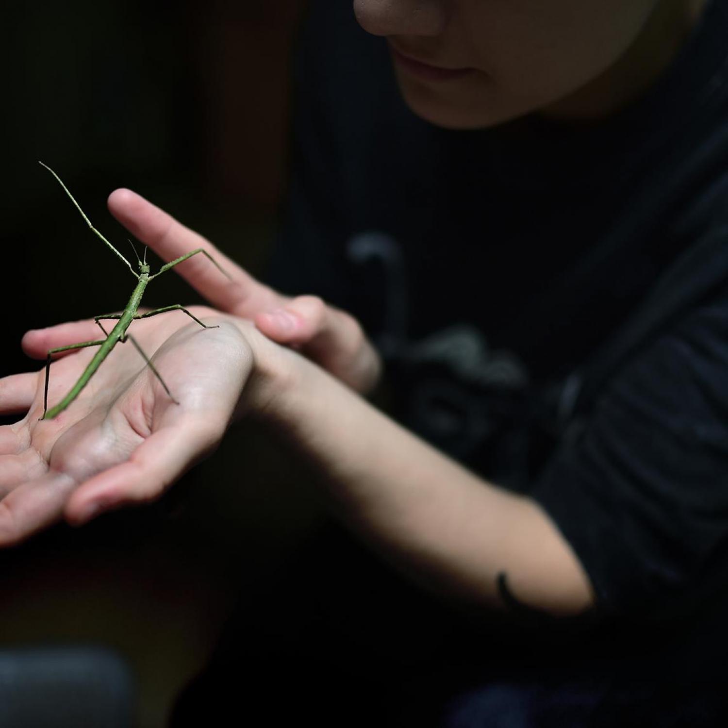Heroins, when women defy Moscow and Kiev