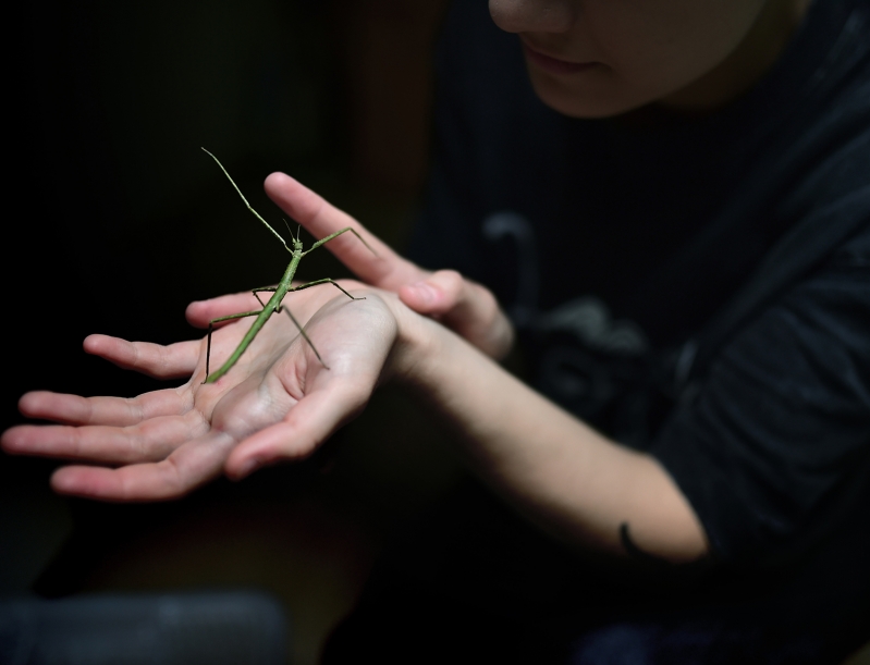 Heroins, when women defy Moscow and Kiev