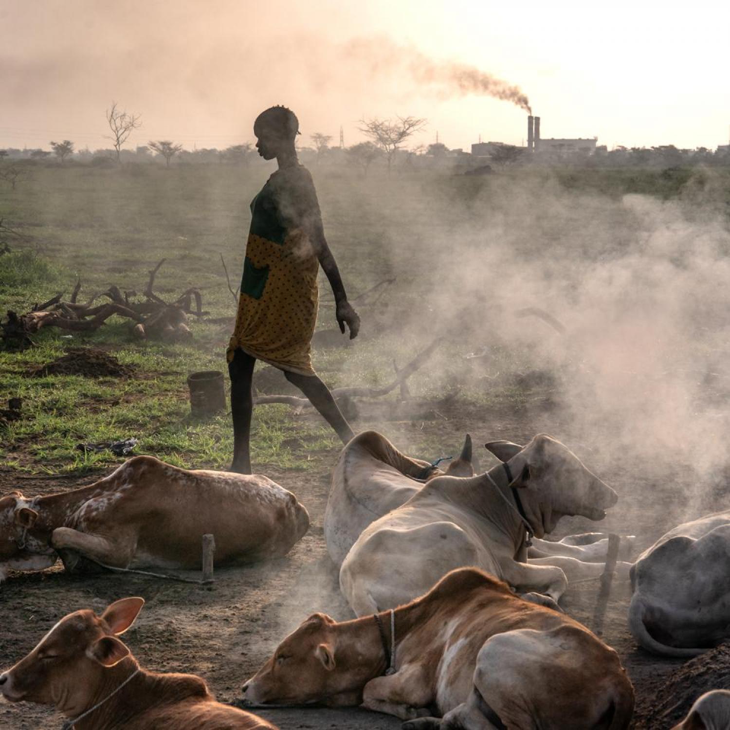 Between Oil and Water