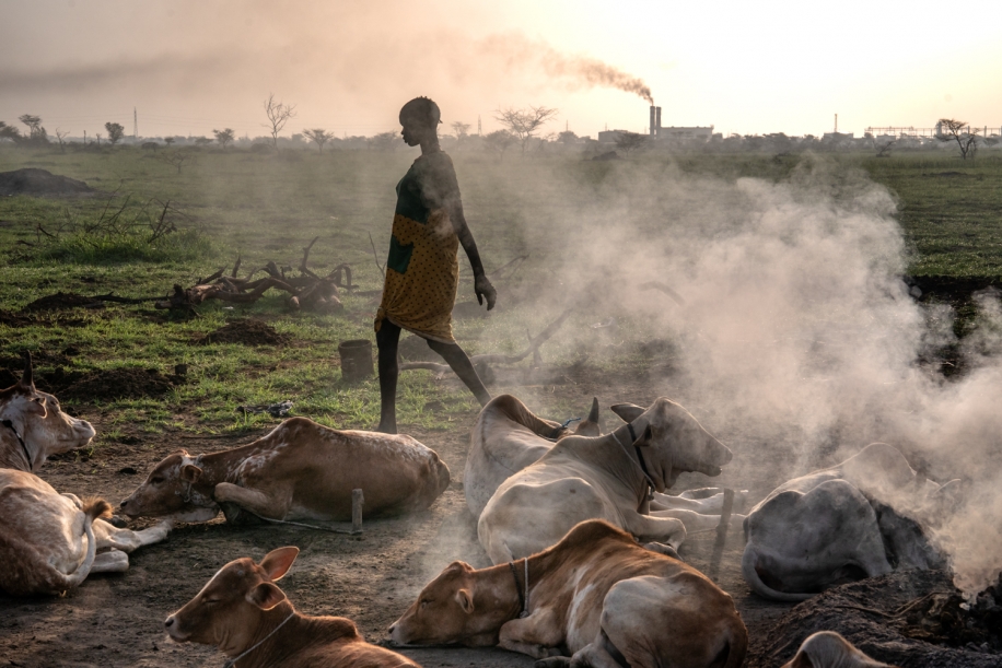 Between Oil and Water