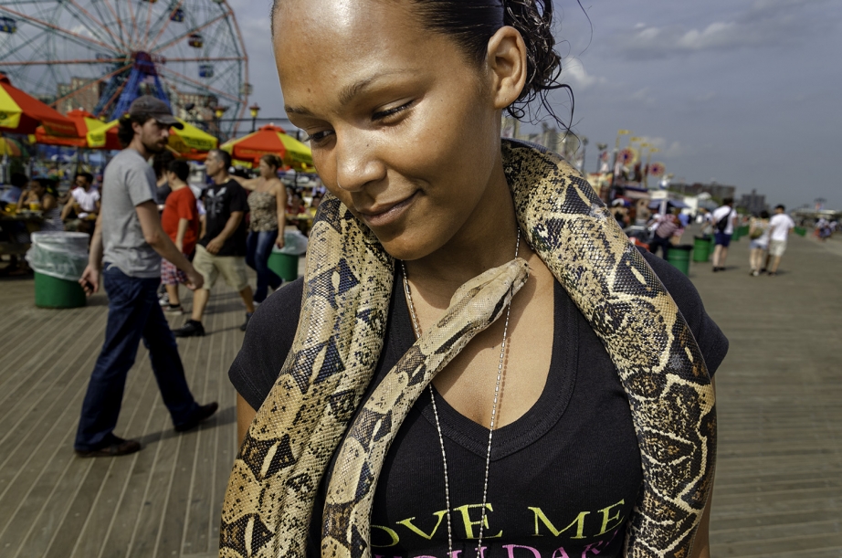 Coney Island Stories