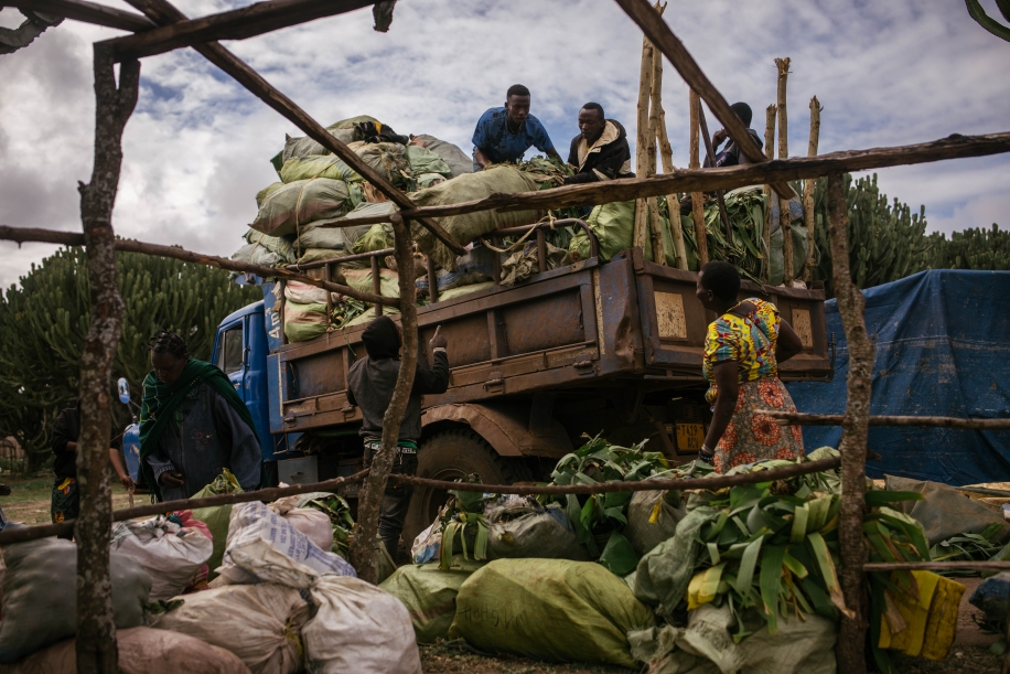 Petrostate Seizure of the Serengeti