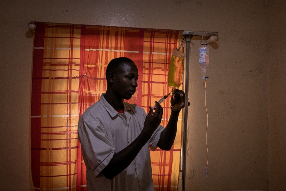 The Ladies of the Camellias