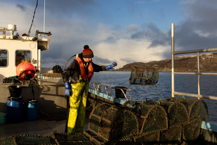 The Sustainable Fisheries and Marine Habitats Threatened by the Trawling Industry